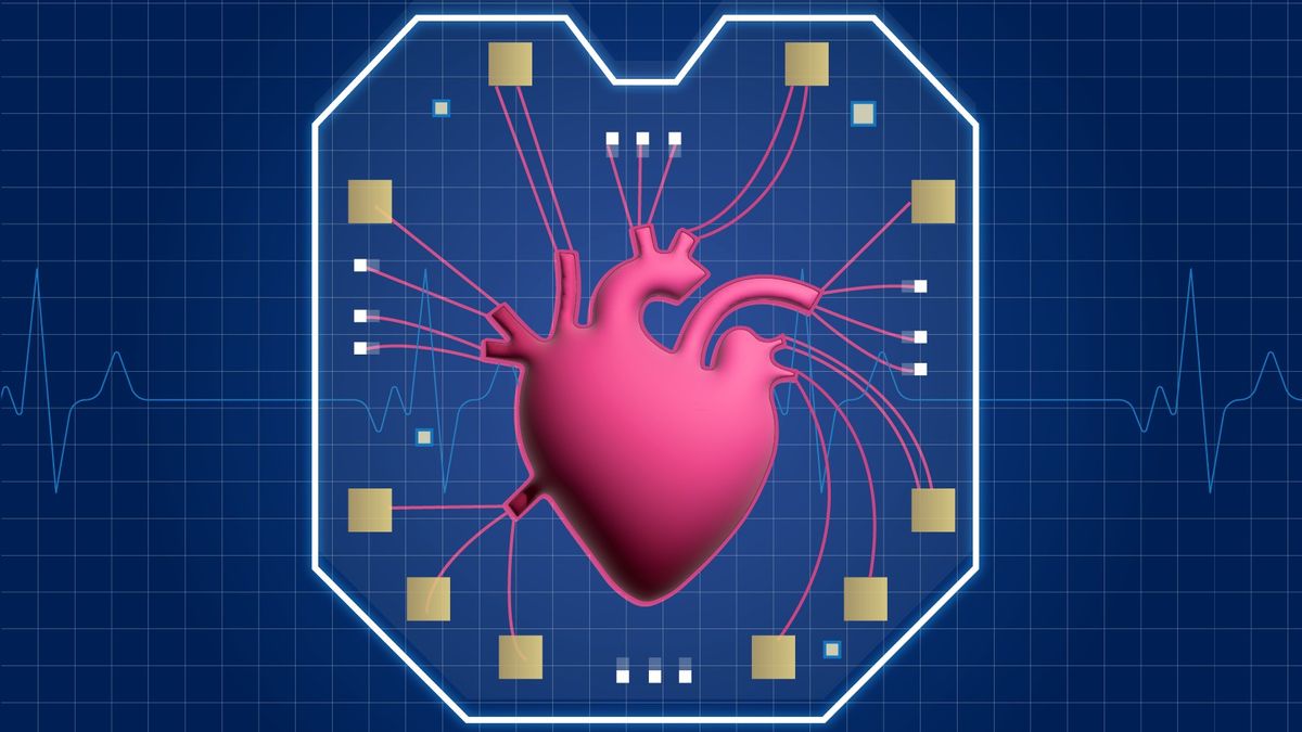 Featured image for "Revolutionary 'Heart-on-a-Chip' Unveiled by Scientists"