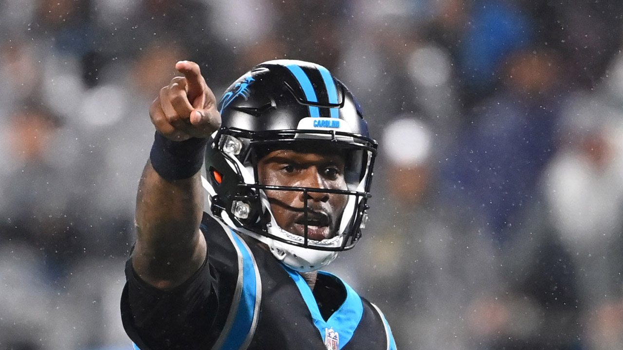 Bears add QB and RB to roster.