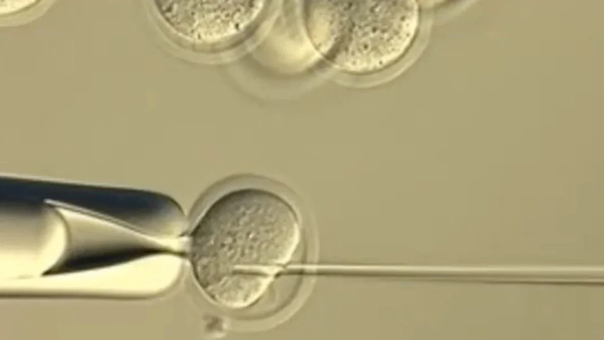 Clone-ception Hits a Wall: Infinite Cloning Isn’t Feasible