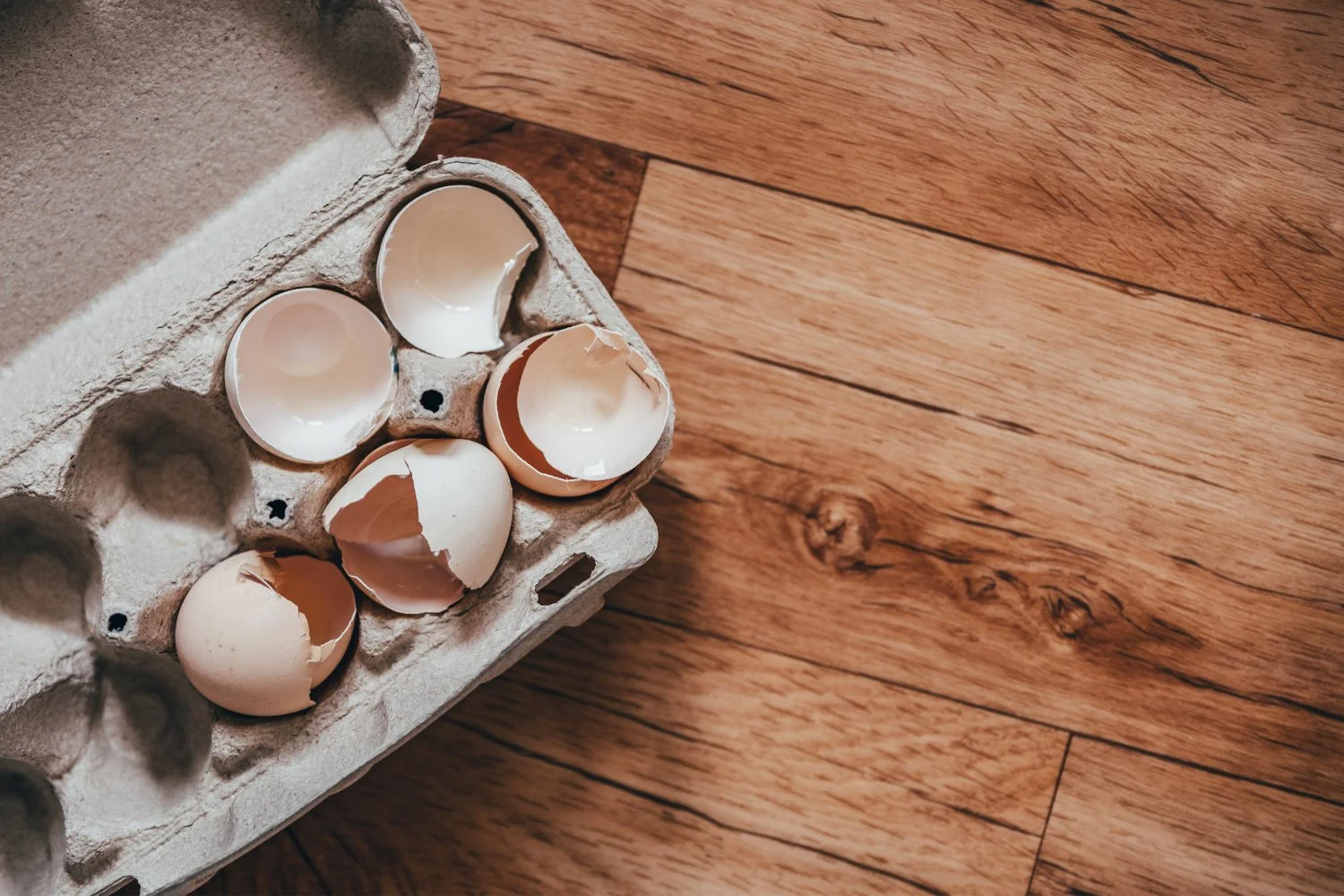 Featured image for Avian Flu Drives Egg Shortage and Price Surge Ahead of Holidays