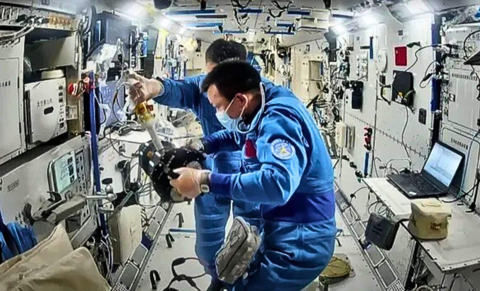 Featured image for Insects Join Space Pioneers on China's Tiangong Station