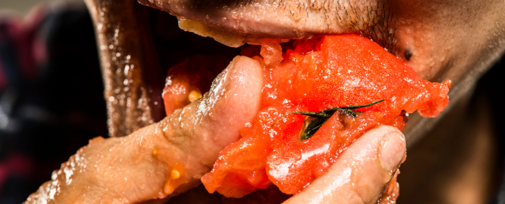 "Tomato Juice: A Potential Treatment for Salmonella Poisoning"