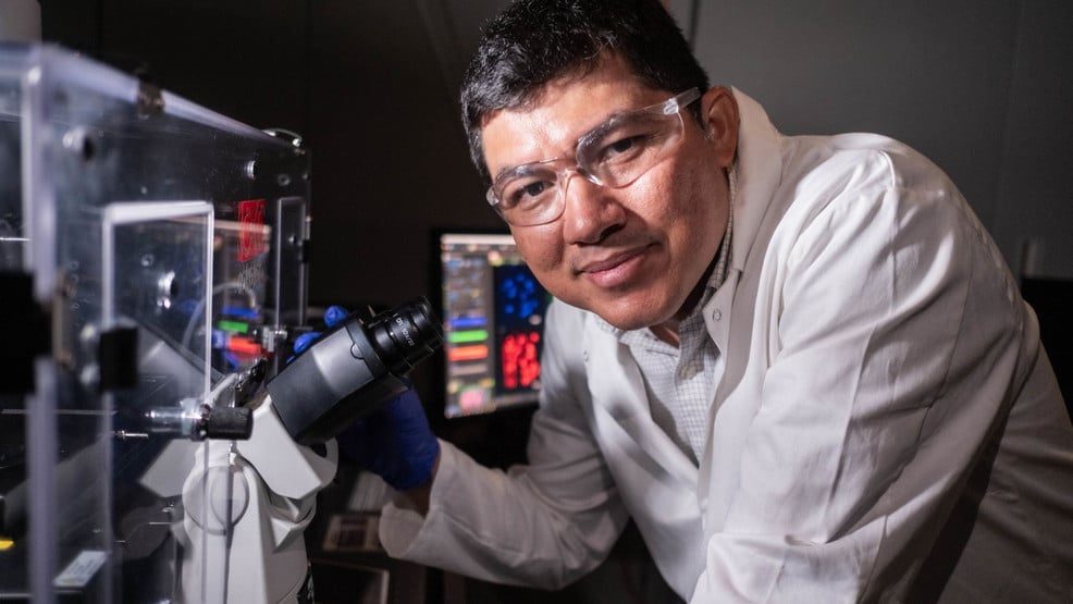 Featured image for "Breakthrough 'Molecular Jackhammer' Yields Near-Perfect Cancer Treatment Success in Lab Tests"