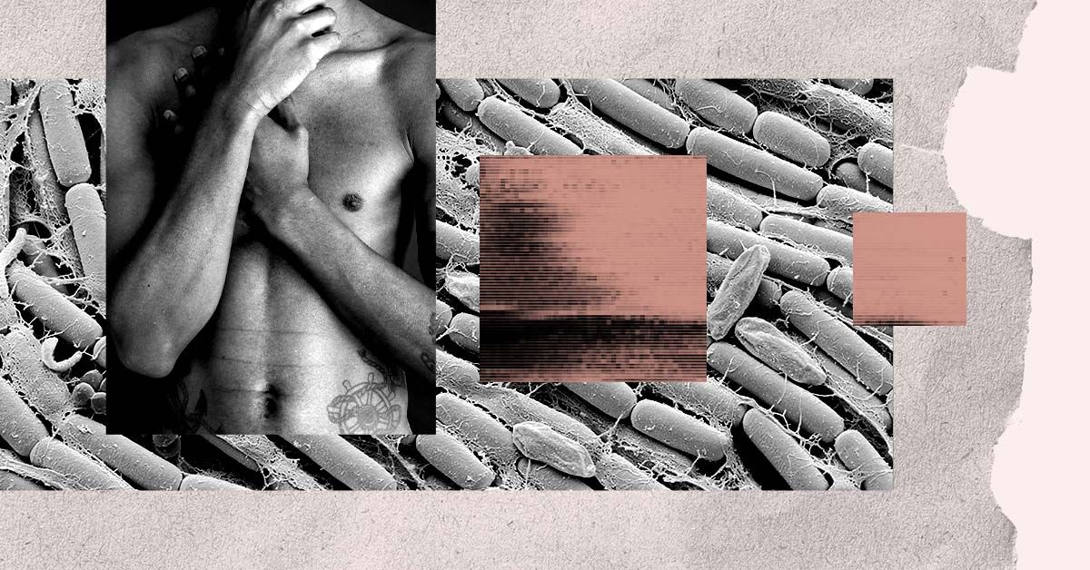 Featured image for "Gut Bacteria's Role in Lowering Heart Disease Risk and Cholesterol Levels"