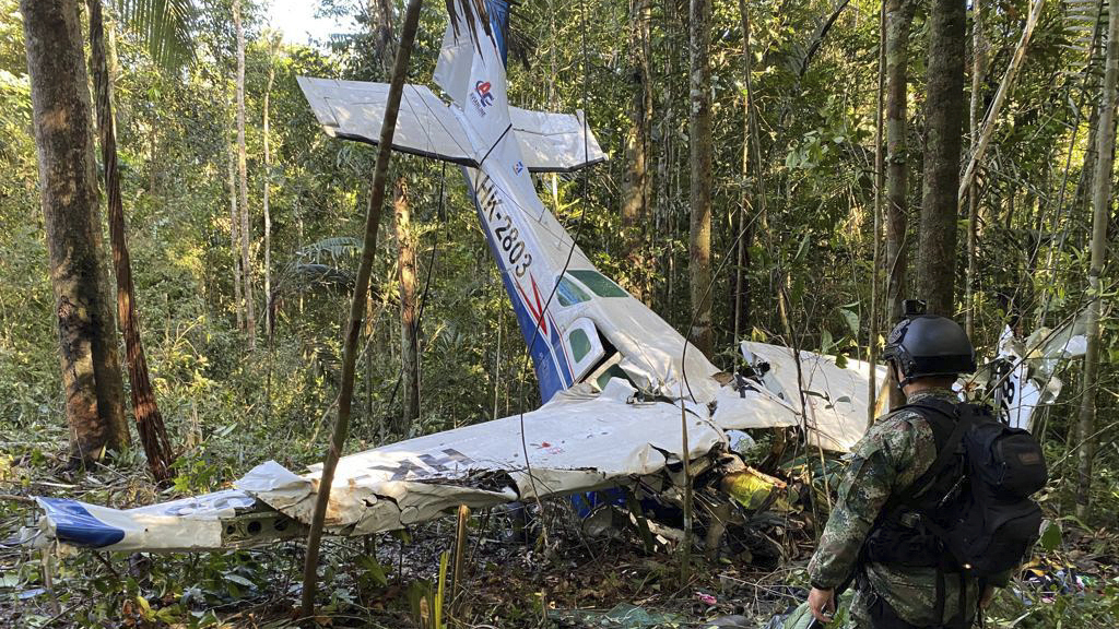 Surviving 40 days in Colombian jungle: 4 lost children found alive after plane crash.