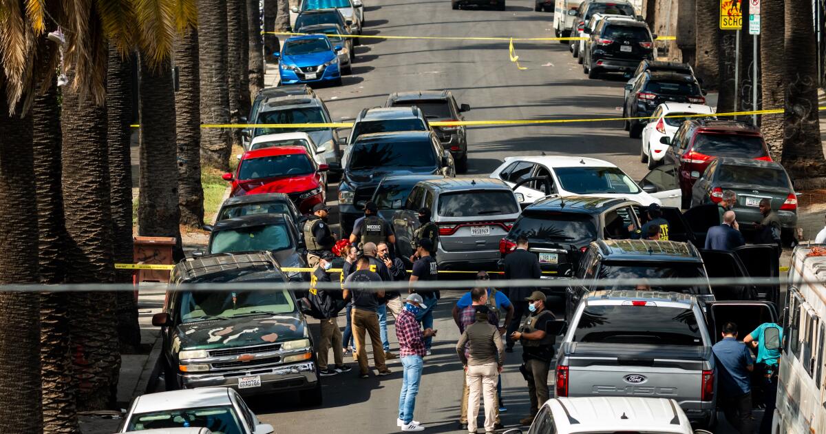 Featured image for ICE Raid in South L.A. Leads to Shooting of Federal Agent and TikTok Streamer