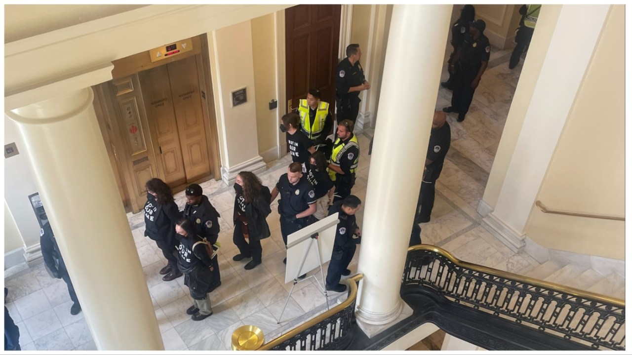Arrests Made as Protesters Demand Israel-Hamas Ceasefire at Capitol Hill