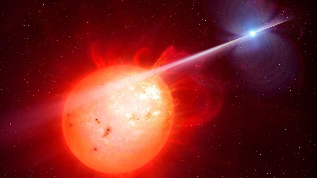 Second white dwarf pulsar sheds light on star evolution