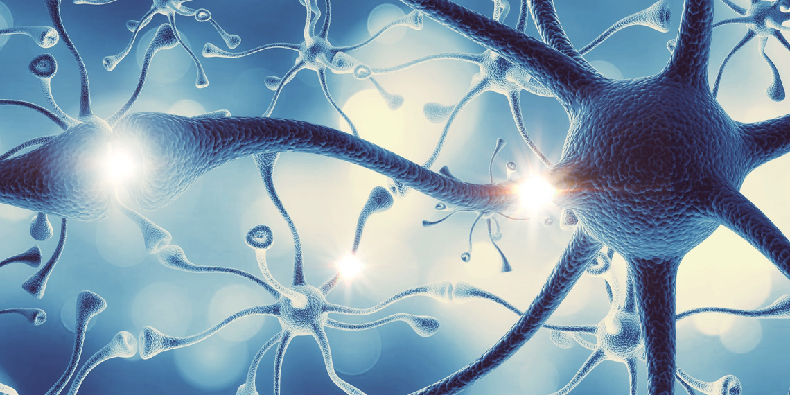 "Exploring the Brain's Flexibility: Antidepressants, Ketamine, and Psychedelics"