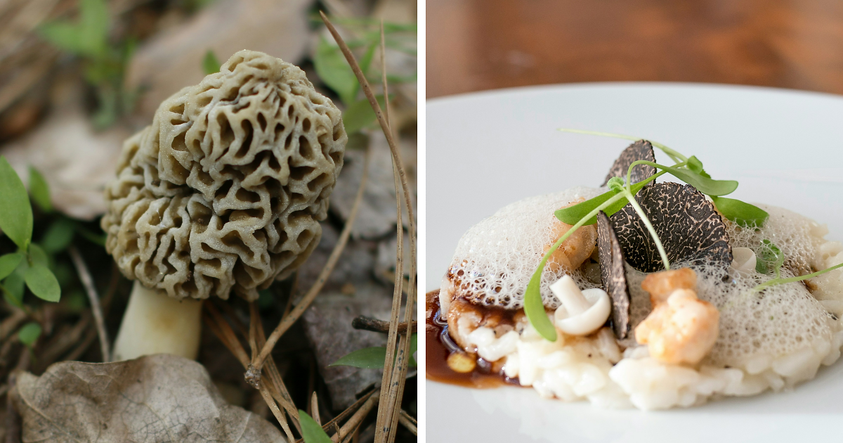 Featured image for Scientists Connect Wealthy Superfood to ALS Risk