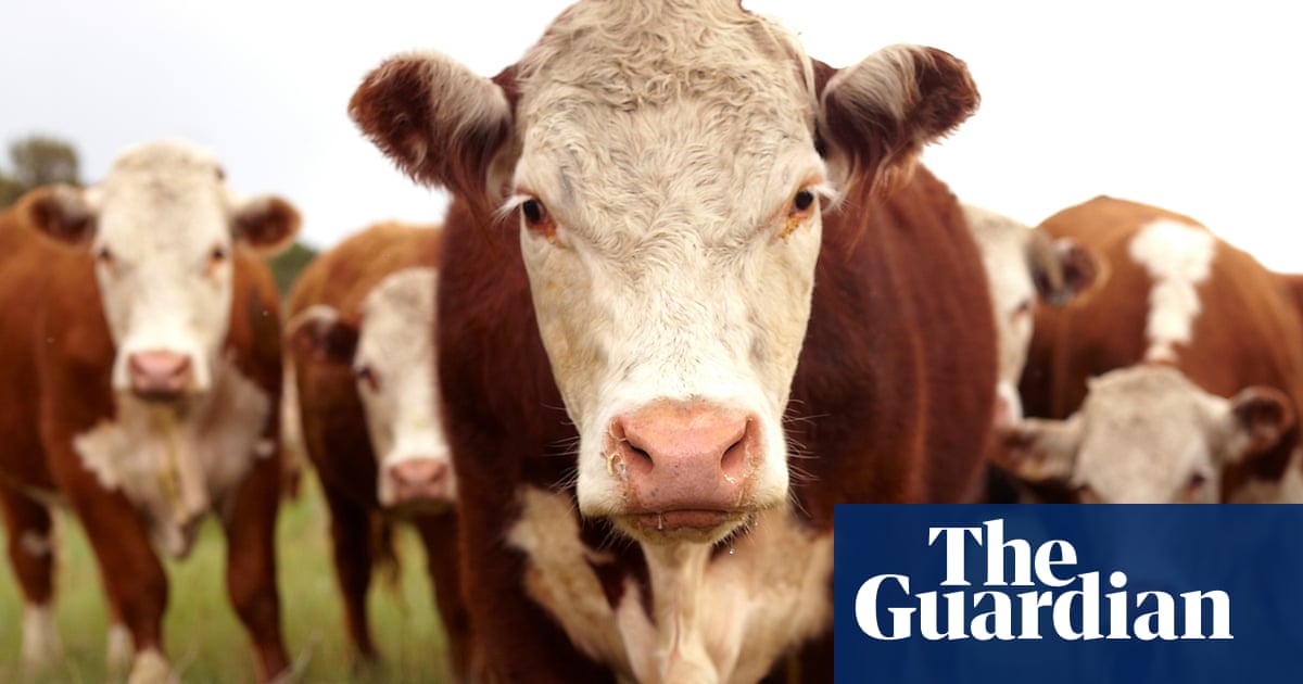 Featured image for Lightning Strike Kills Colorado Rancher and 34 Cattle