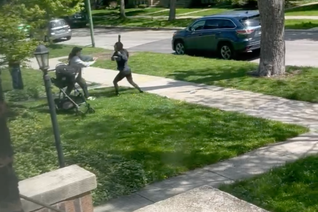 Featured image for Chicago Woman's Bat Attacks and Attempted Car Run-Over Lead to Arrest and Charges