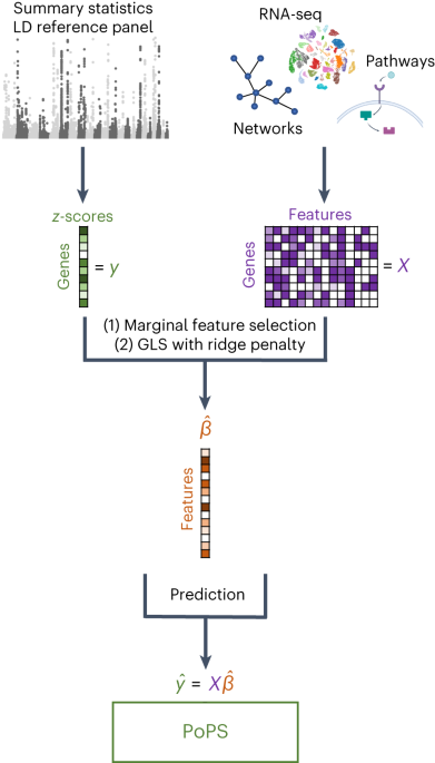Featured image for Advancements in Whole Genome Sequencing for Early Diagnosis of Genetic Disorders in Infants