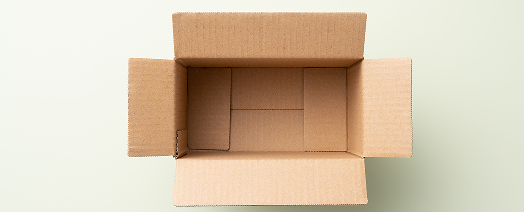 "US Sets New Standard of Nothingness in Recent Unveiling"