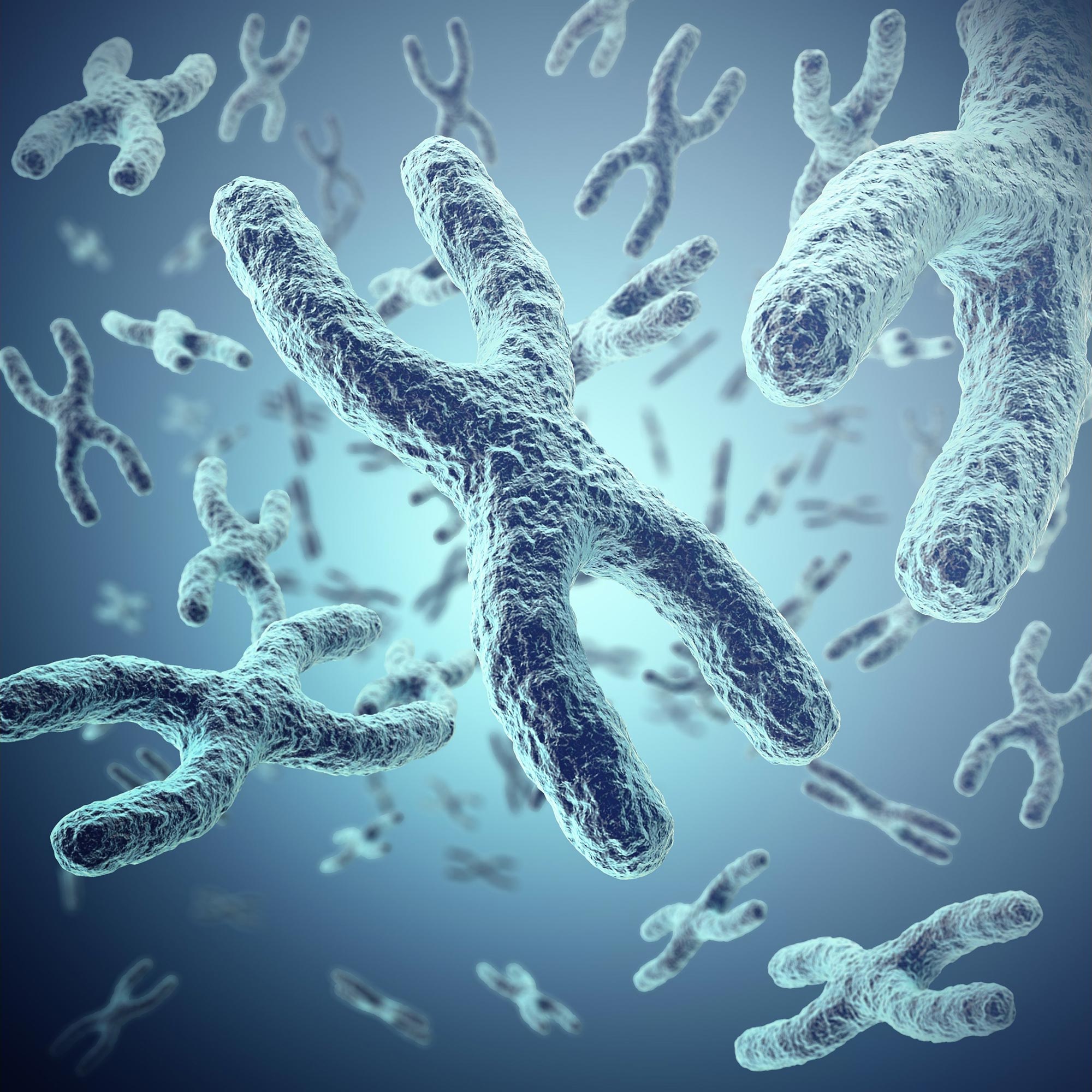 Featured image for "Breakthrough: Creating Human Artificial Chromosomes with Reduced Multimerization"