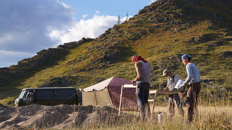 Featured image for Scientists Uncover How Ancient Plague Spread from Europe to Asia