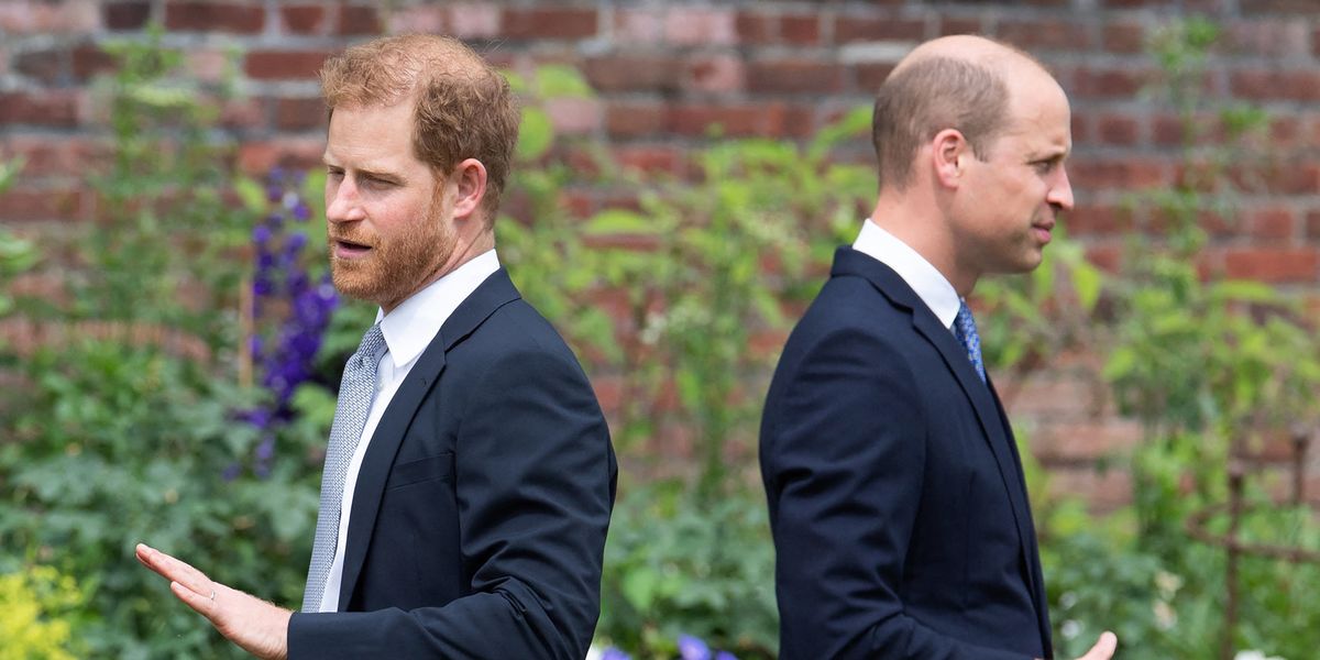 Royal Family Dynamics: Harry, William, Meghan, and Charles