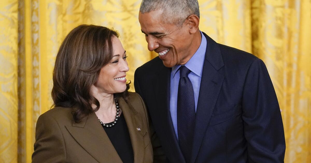 Democrats Grapple with Harris' Defeat and Party Turmoil