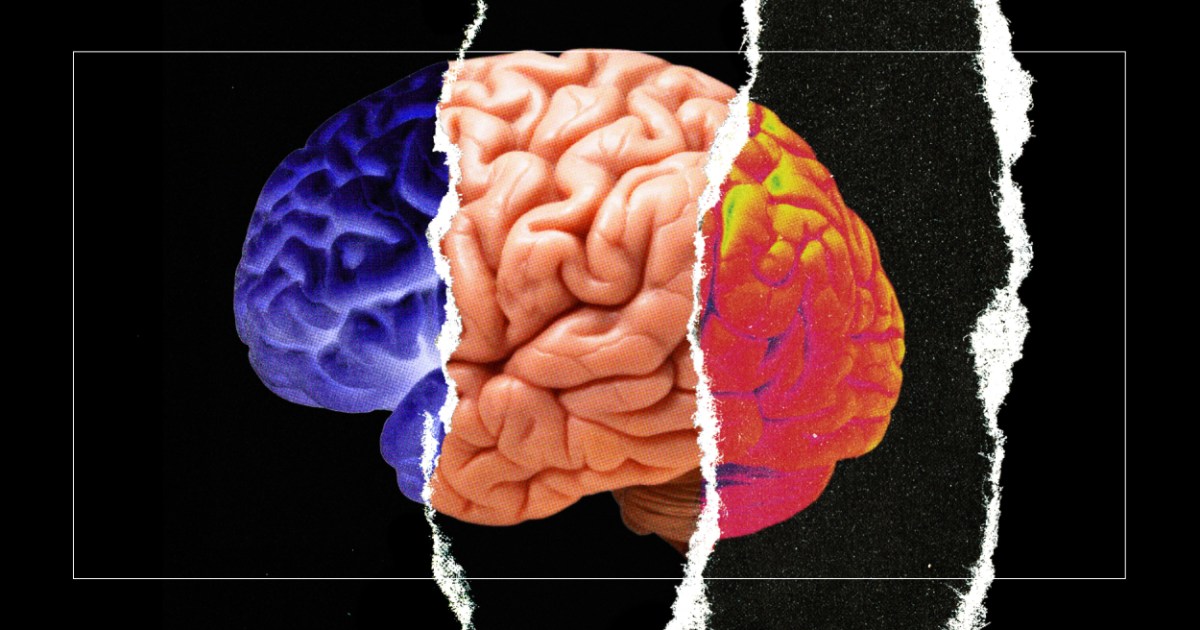 Featured image for Maximizing Your Three Brains for Optimal Performance.