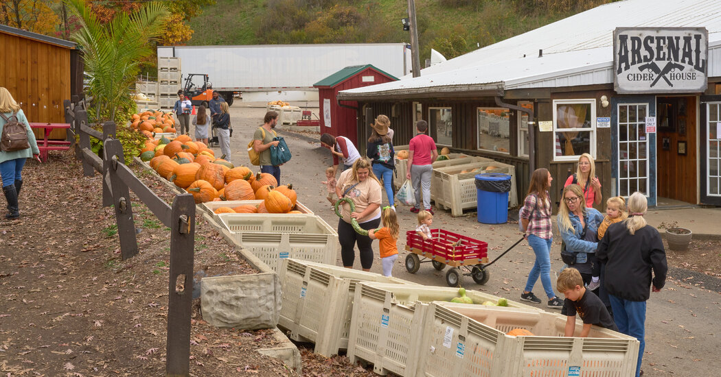 Rising Halloween Costs Spur Concerns for Shoppers