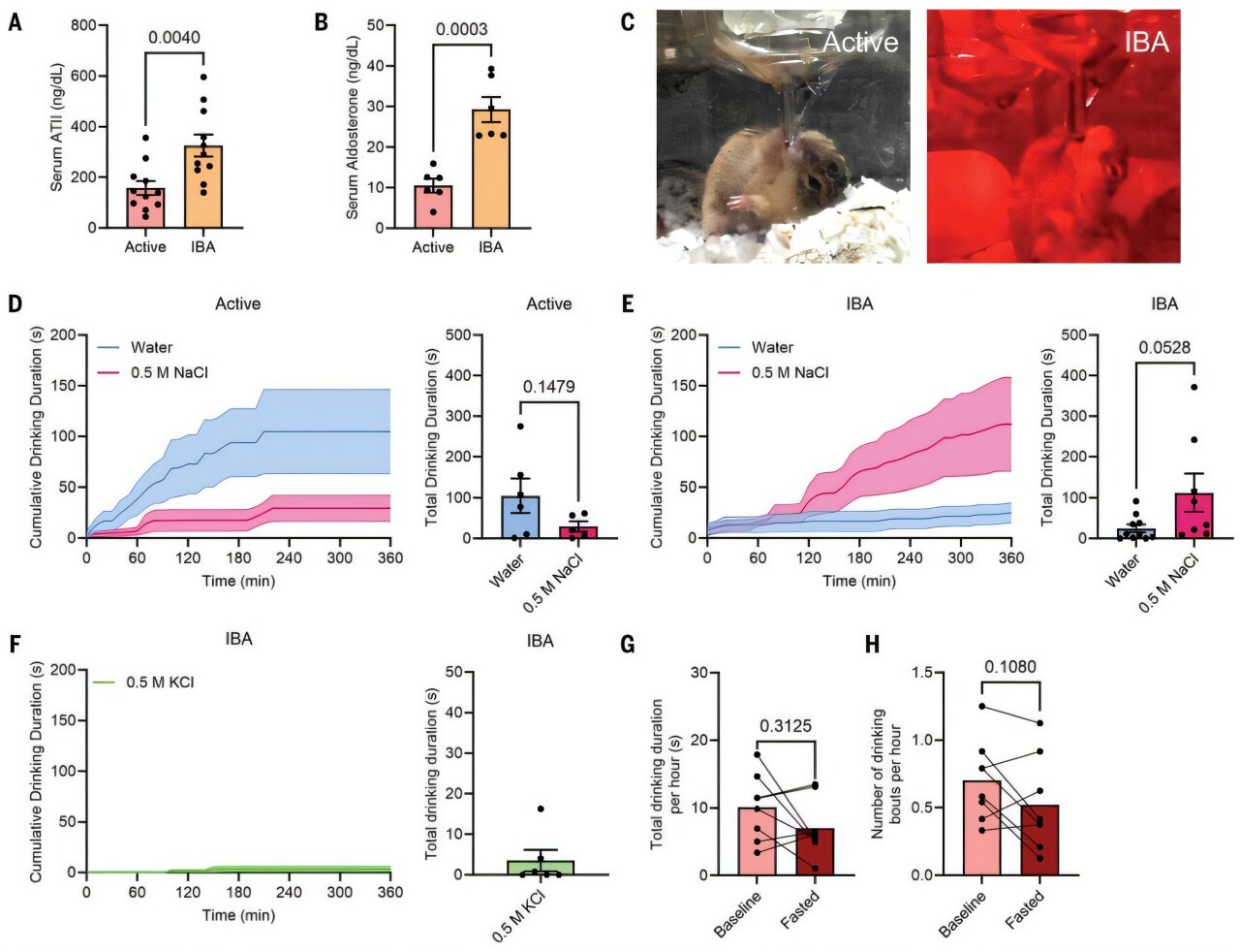 Featured image for The Secret to Squirrels' Thirst-Free Hibernation