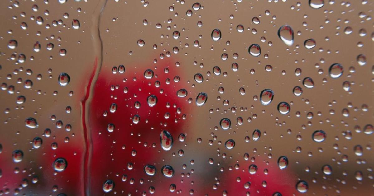 "Fall's First Atmospheric River Storm Brings Rain to California and Pacific Northwest"