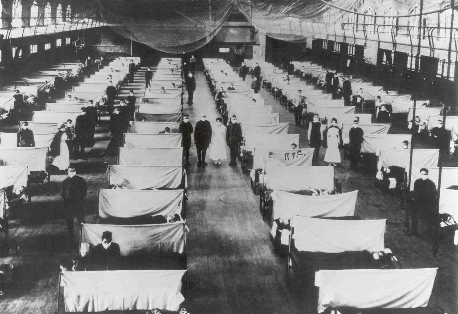 Featured image for Unveiling the Truth: Skeletal Remains Challenge Beliefs About the 1918 Flu Pandemic