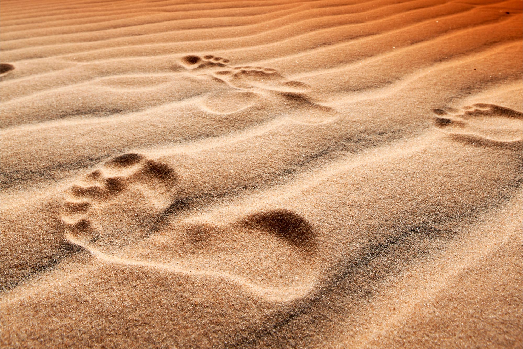 The Ethical Implications of Collecting DNA from Unseen Trails