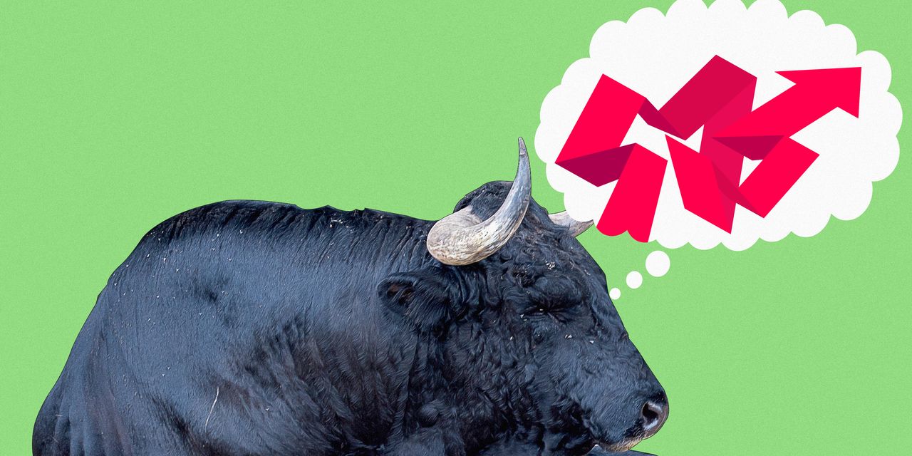 Navigating the Uncertainty: Using Options in a Tricky Stock Market
