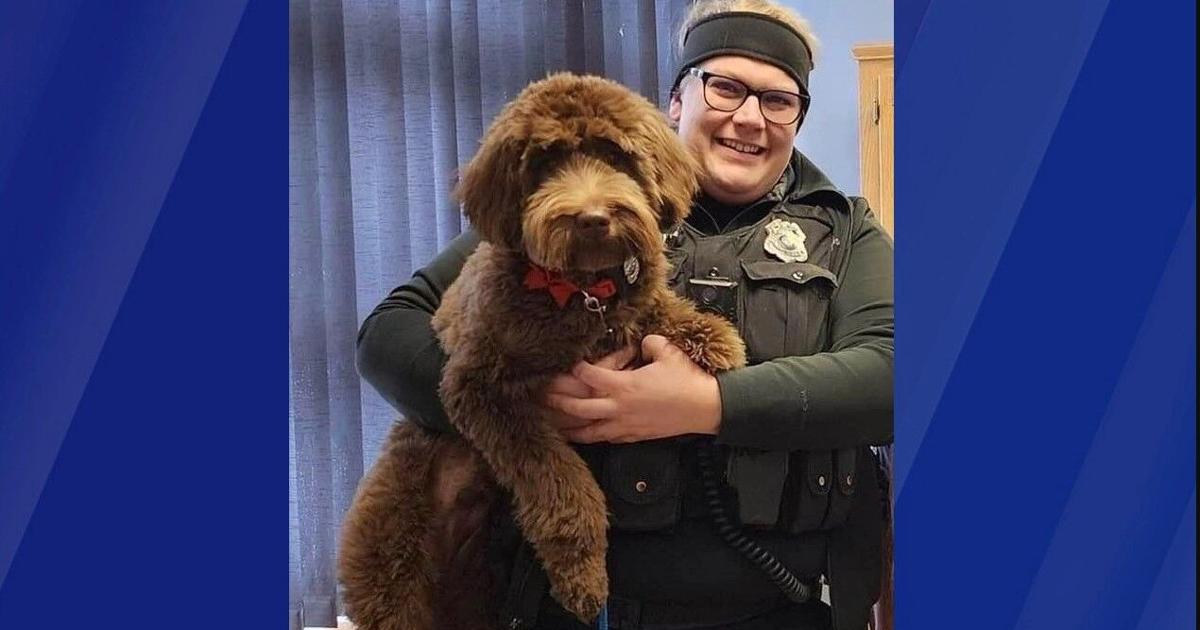 Featured image for Tragedy Strikes: Two Wisconsin Officers Killed in Traffic Stop