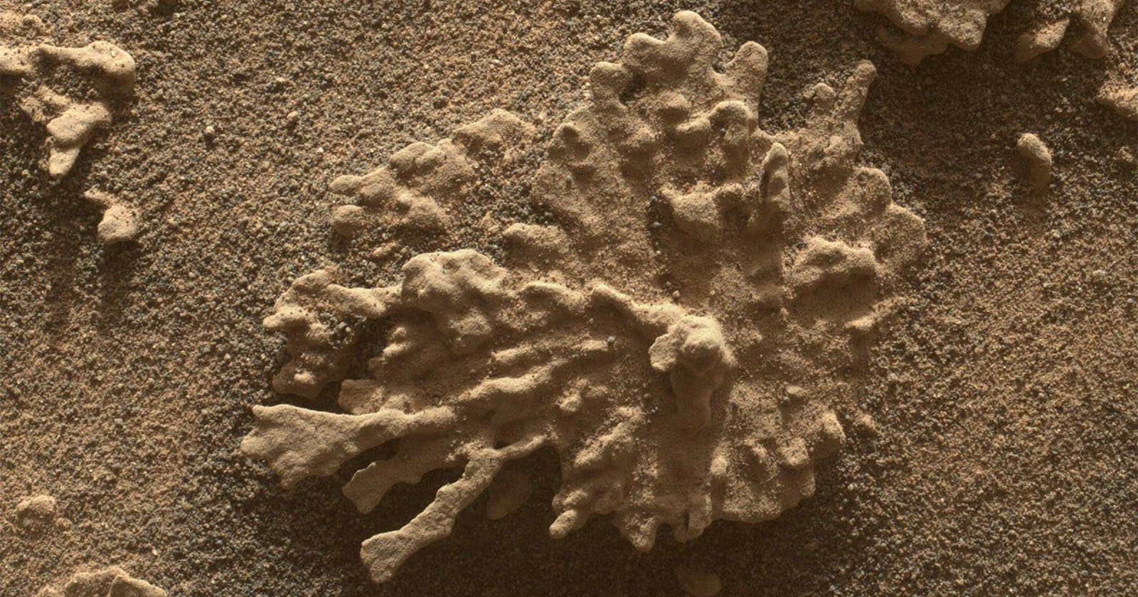 Featured image for NASA's Curiosity Rover Finds Coral-Like Rocks Suggesting Ancient Water on Mars