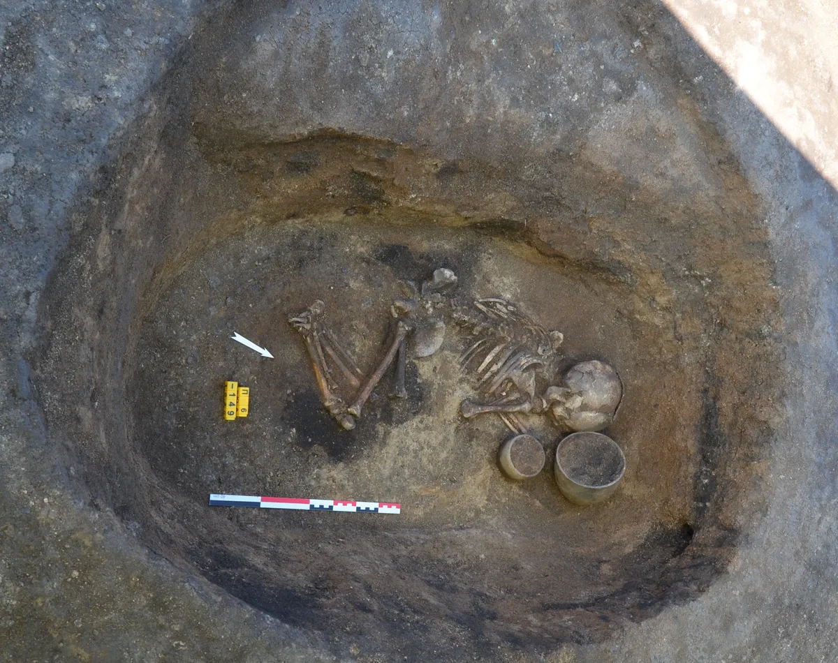 Featured image for Decoding Ancient Bronze Age Family Structures: Insights from Paleogenetic Analysis