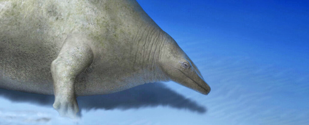 "Unraveling the Enigma of the Colossal Oddball Whale"