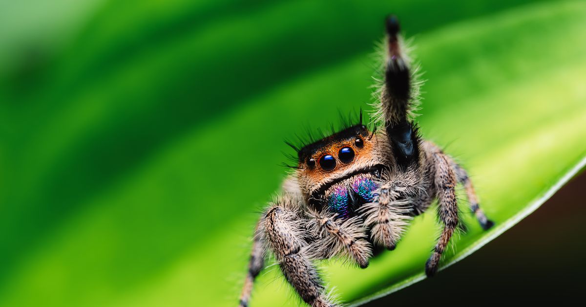 "Utilizing Nature's Allies: Reducing Pesticide Dependency with Wild Animals and Insects"