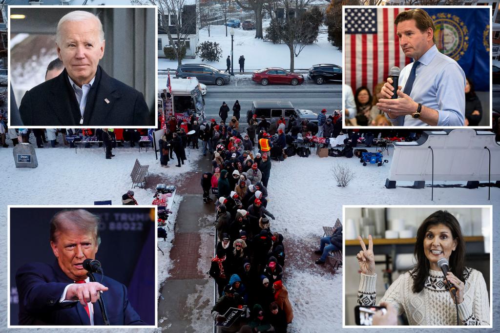 "Why Biden is Absent from the New Hampshire Primary Ballot"