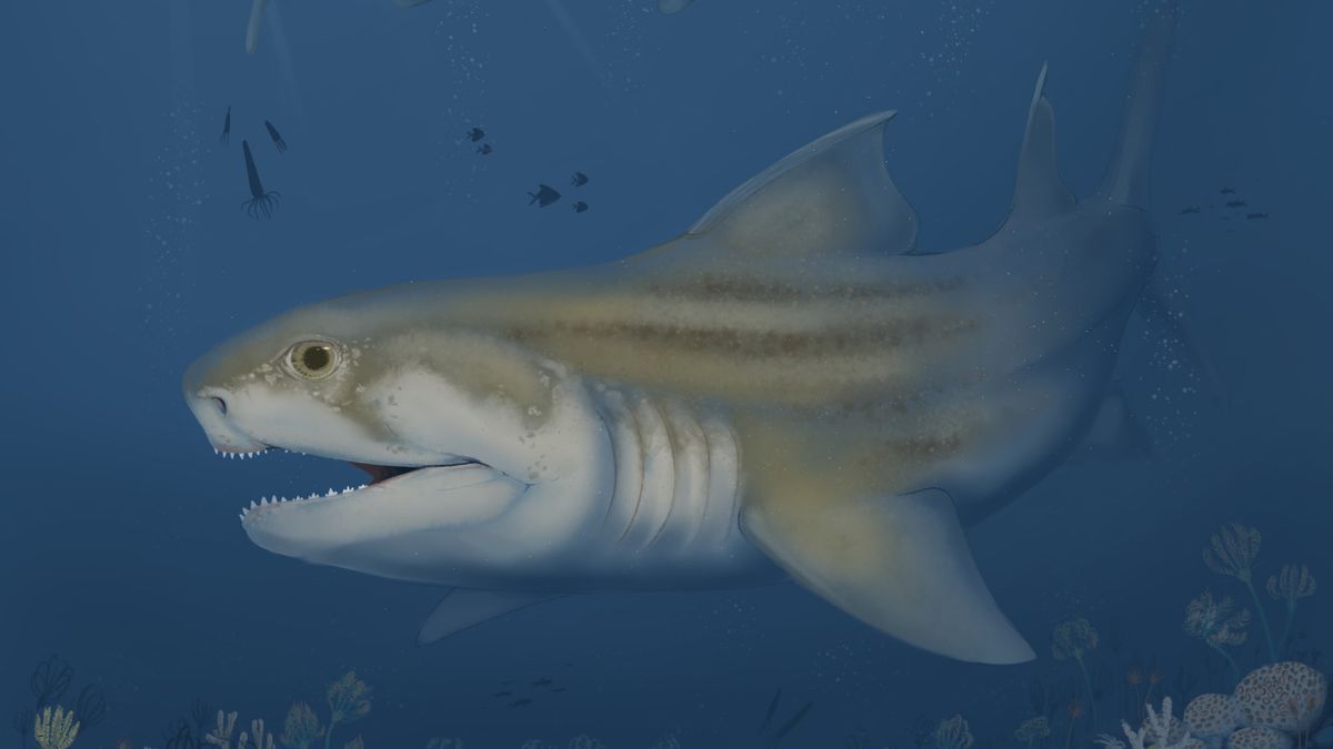 "Discovery of New Fossilized Shark Species in Mammoth Cave and Alabama"