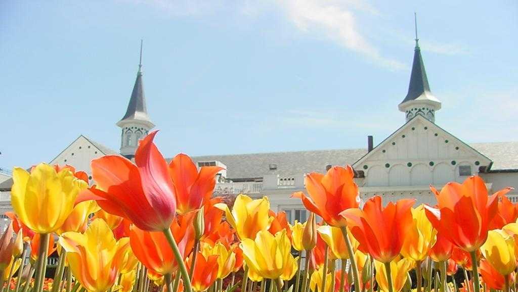 "Kentucky Derby Week: Festivities and Celebrations Galore"