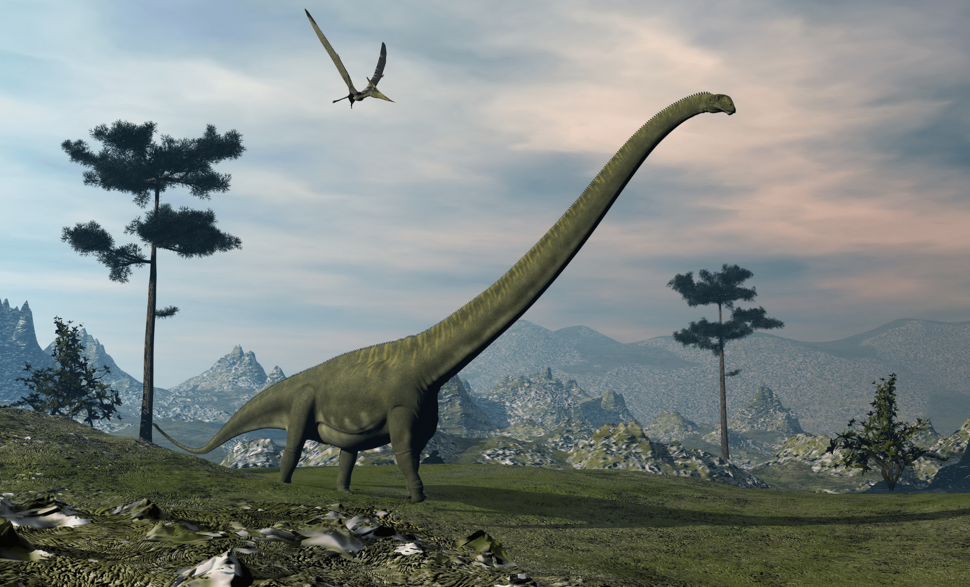 Featured image for New Long-Neck Dinosaur Species Discovered in China