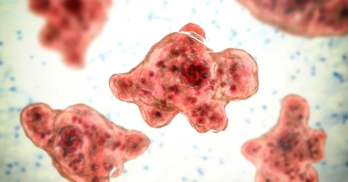 Featured image for Brain-Eating Amoeba Infection Linked to Water Skiing at Missouri's Lake of the Ozarks