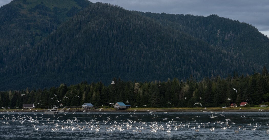 Featured image for Alaska Issues Its First-Ever Heat Advisory Amid Soaring Temperatures