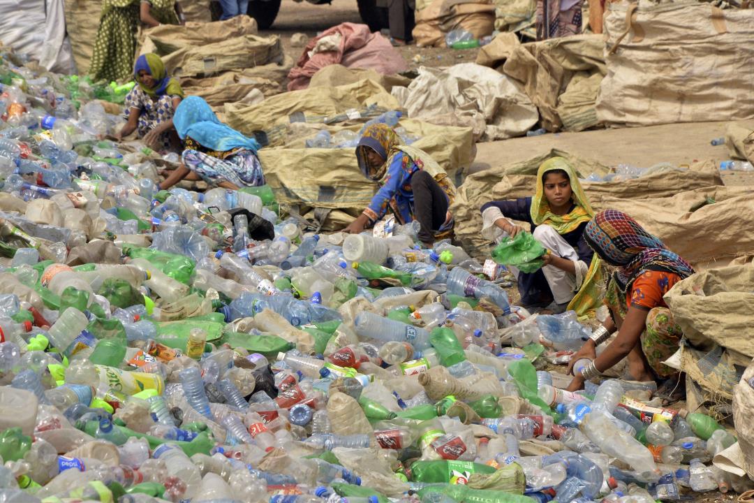 "Arctic Microbes Offer Solution to Plastic Waste Crisis"