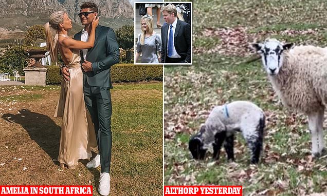 Featured image for "Royal Family's Sheep and South African Wedding: A Recap"