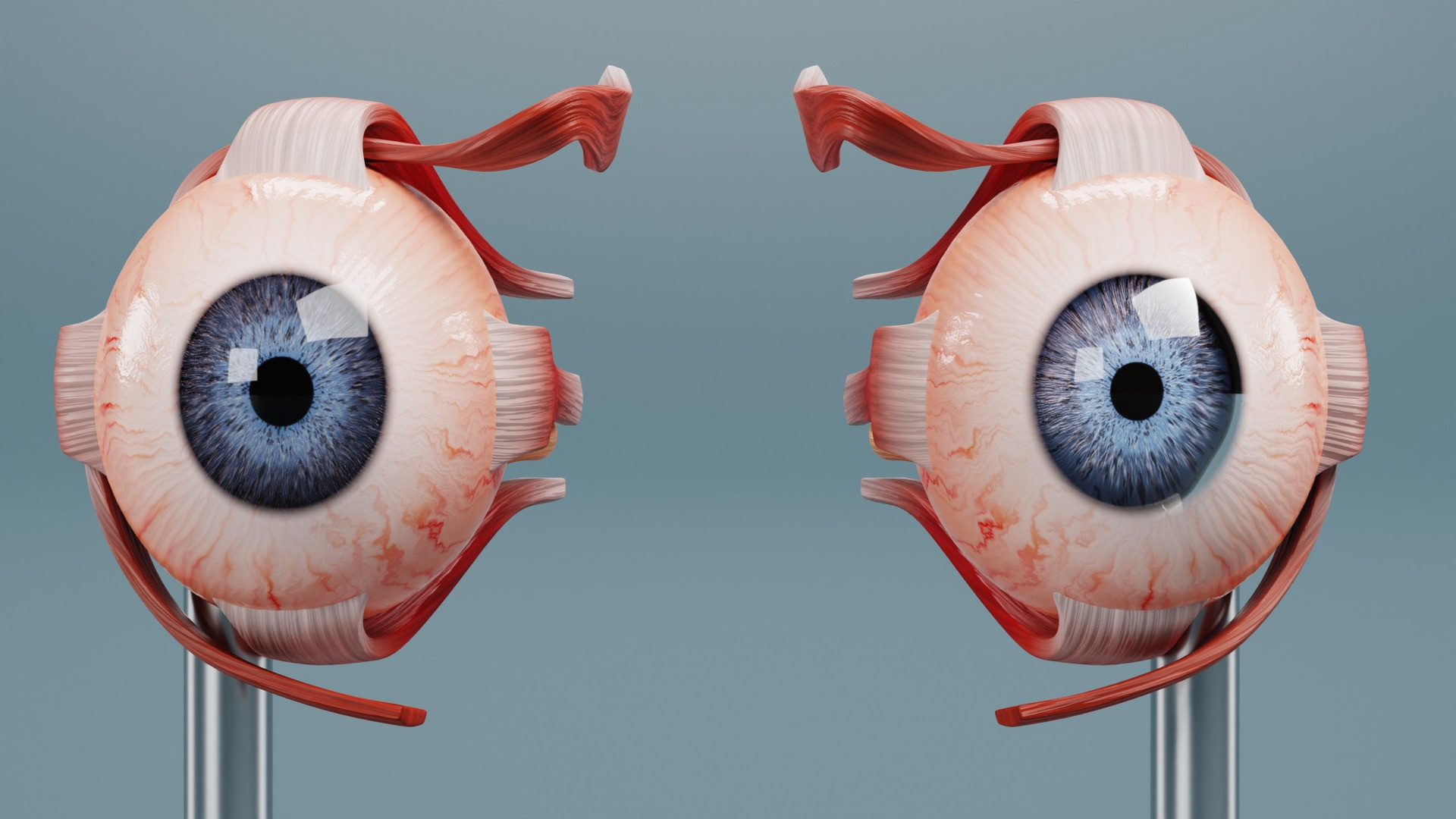 Revolutionary Gene Therapy Restores Vision in Degenerative Retinal Disease