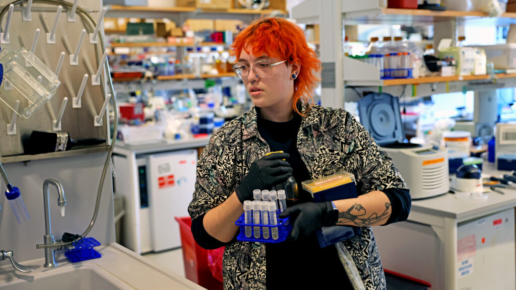 Featured image for US Science Funding Cuts Threaten Researchers and Innovation