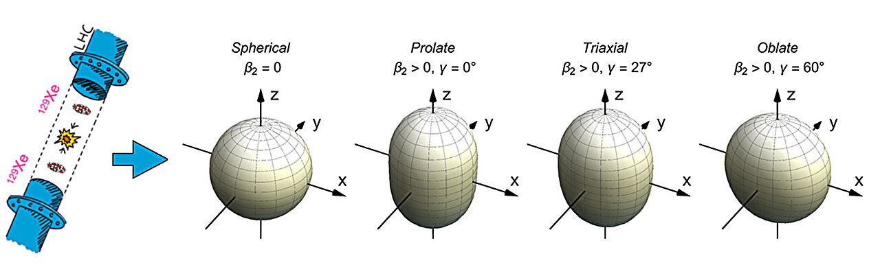 Featured image for Unveiling Nuclear Shapes: Insights from High-Energy Collisions