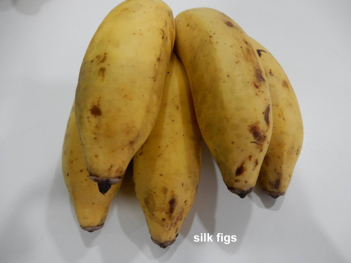 "The Nutritional Benefits of Starting Your Day with a Breakfast Banana"