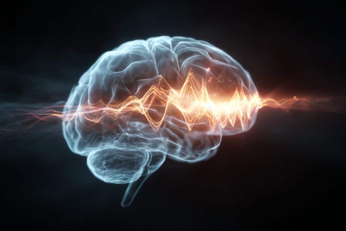 Featured image for Brain's Attention Functions Like a Zoom Lens