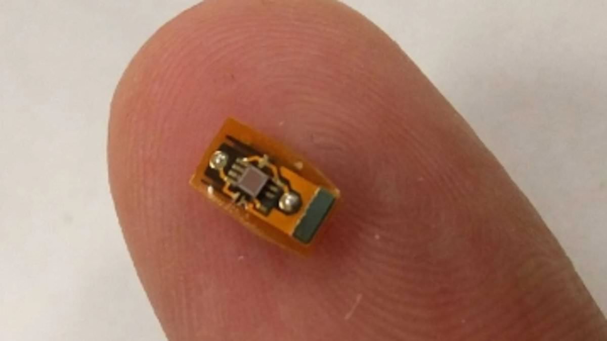 Featured image for "Revolutionizing Brain Implants: Scientists Unleash Broadband Communication"