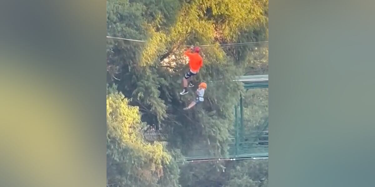 Featured image for Miraculous Survival: 6-Year-Old Boy Walks Away After Falling 40 Feet from Zip Line