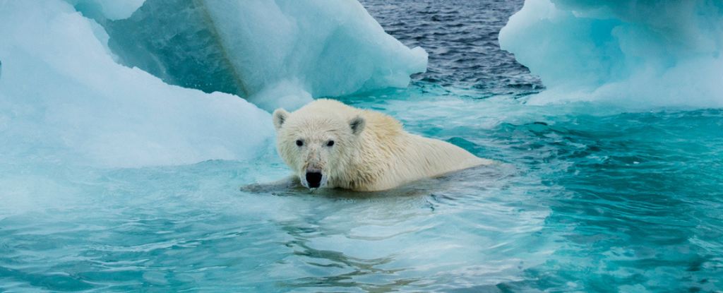 Arctic Ocean's First Ice-Free Day Predicted Before 2030
